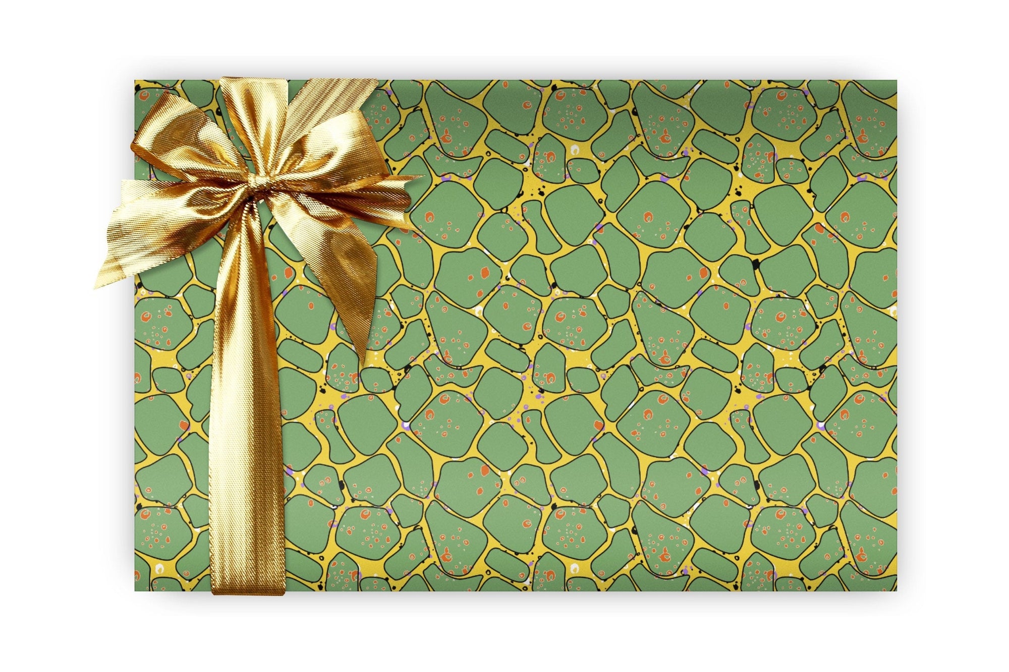 Turtle Shell Wrapping Paper Viola Grace Shop 